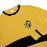 pull-jaune-harry-Potter-vue-plat