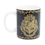 mug-thermo-reactif-harry-potter-magic-mayhem-325-ml-1
