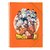 porte-vues-a4-dragon-ball-super-30-pochettes-1