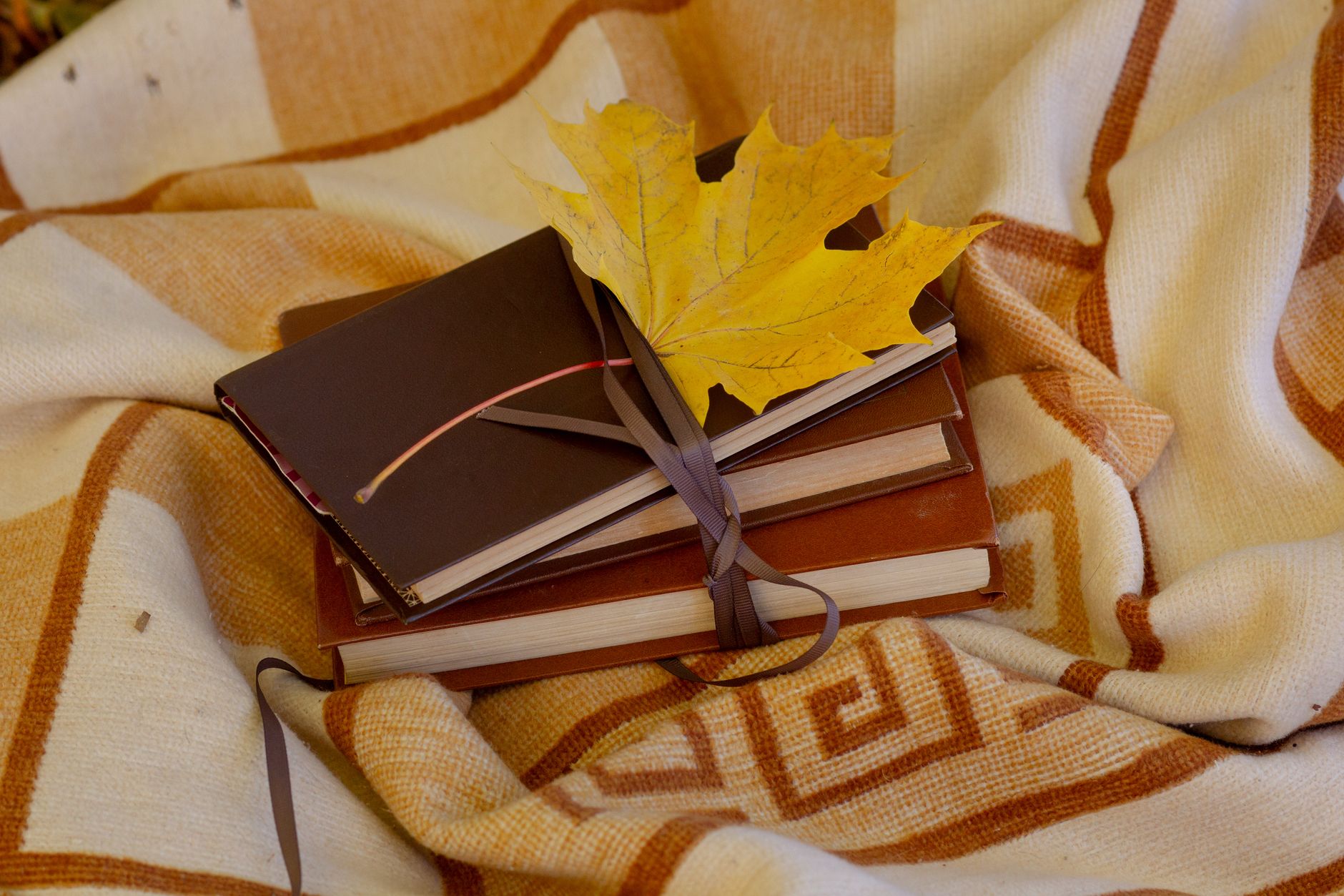nature morte automnale avec des livres une feuille d erable et une couverture douillette