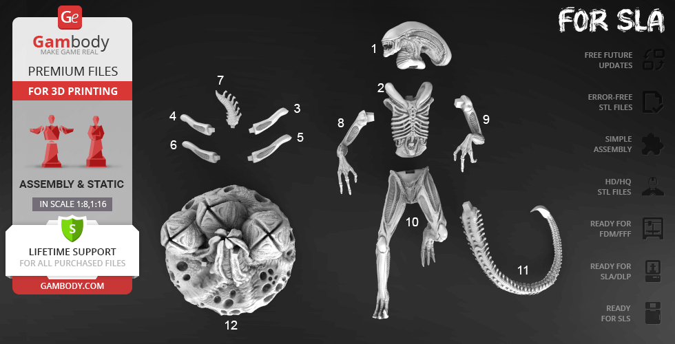 alien-xenomorph-9_980x500
