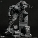 WeaponX_3