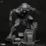 WeaponX_8