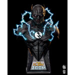 zoom_shot3