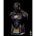 zoom_shot2