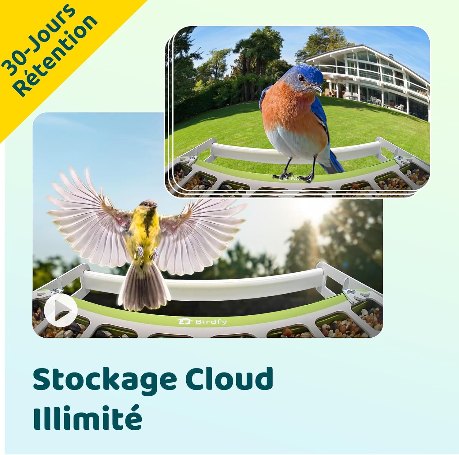 71-SP8ktcCL._AC_SL1500_