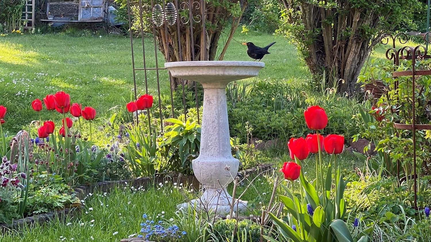 91bFpQnAEGL._AC_SL1500_