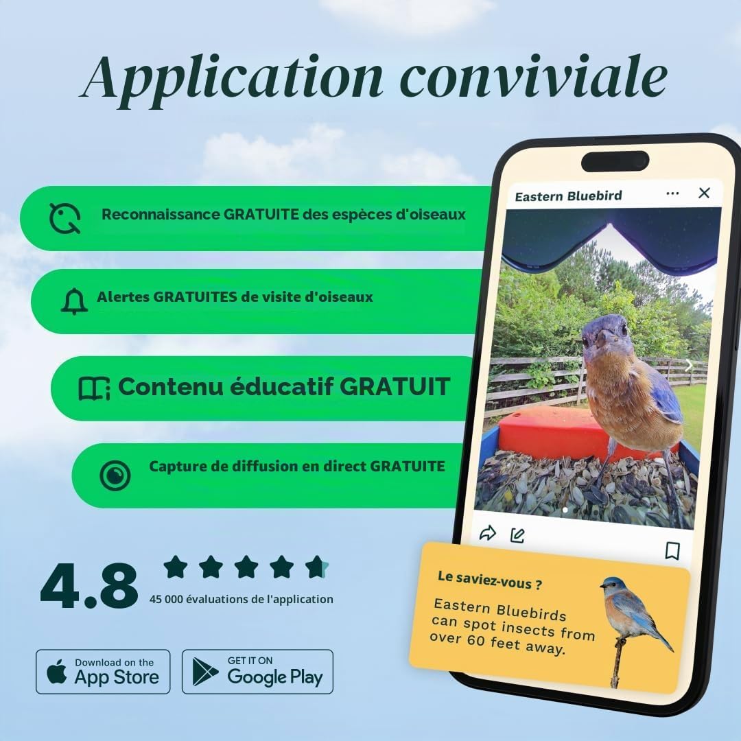 61+2m9wg0UL._AC_SL1080_