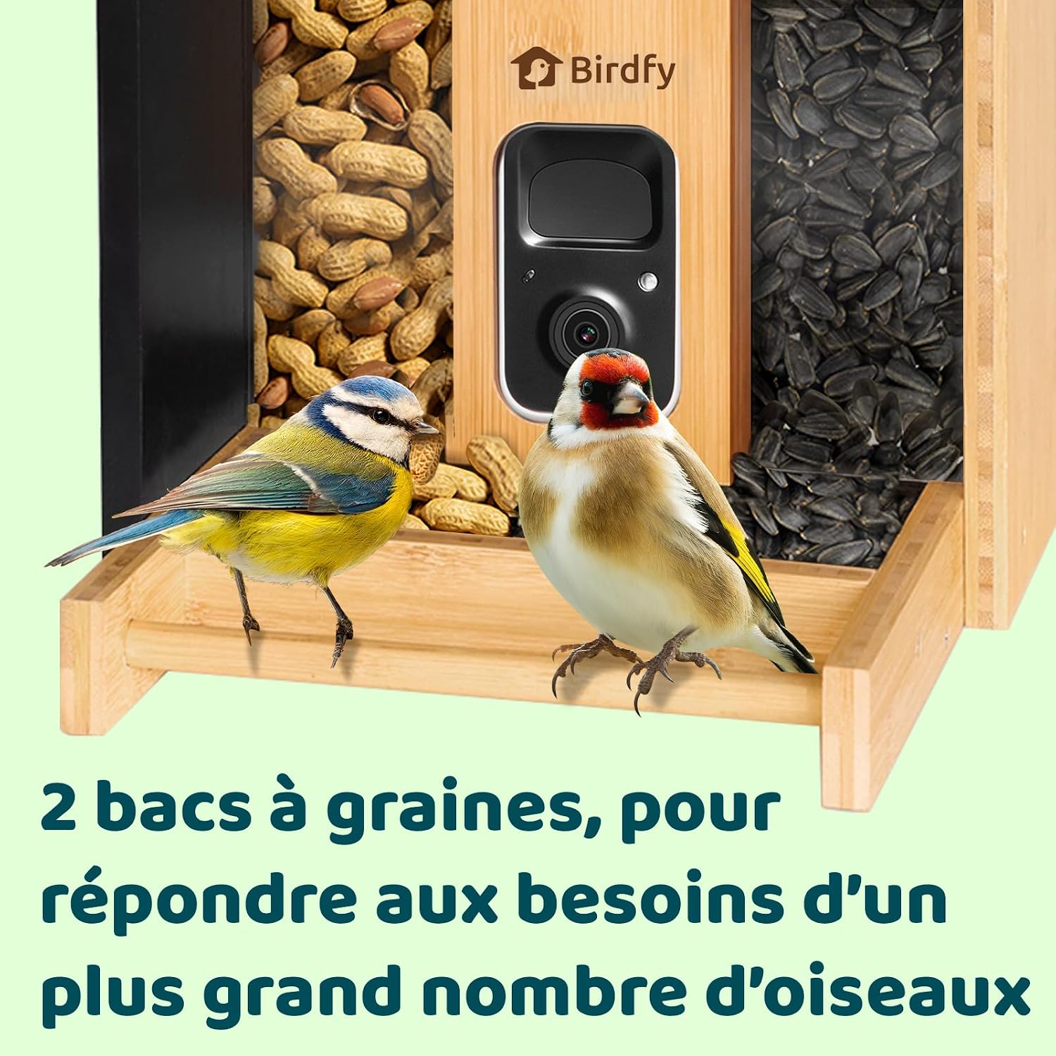 71DHTRFDclL._AC_SL1500_
