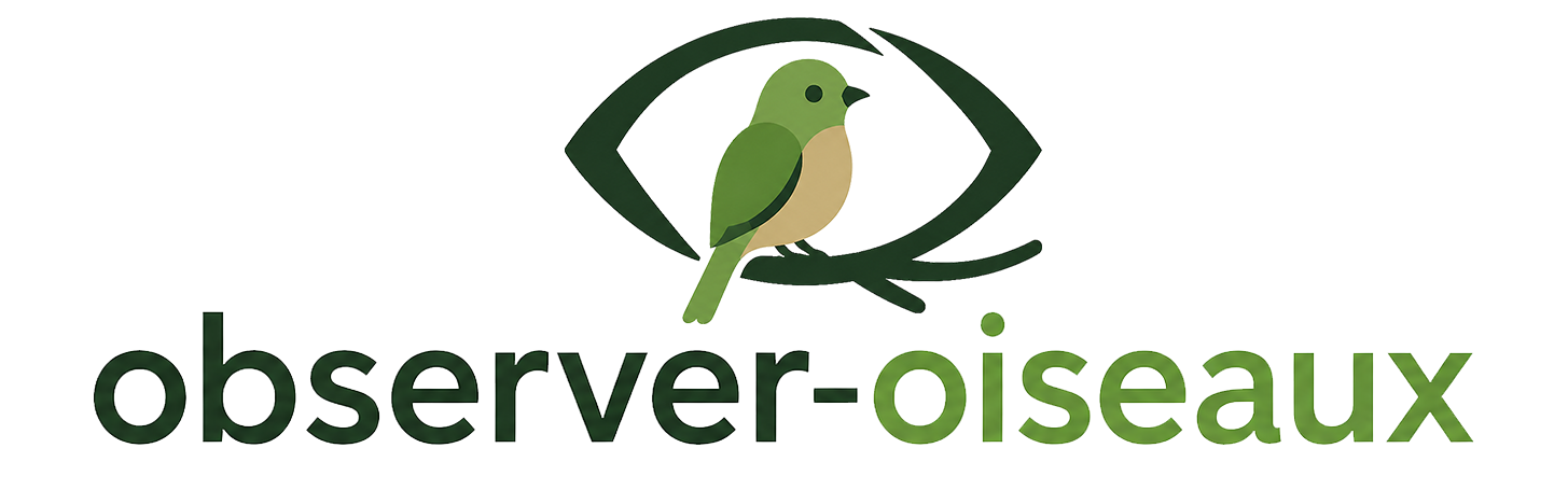 Observer les oiseaux de son jardin