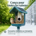 71D8Csq3DbL._AC_SL1254_