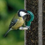 71r3ZP+QdBL._AC_SL1000_