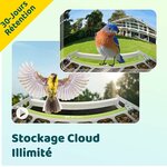71-SP8ktcCL._AC_SL1500_