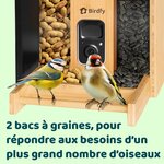 71DHTRFDclL._AC_SL1500_