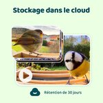71o3dm993CL._AC_SL1500_