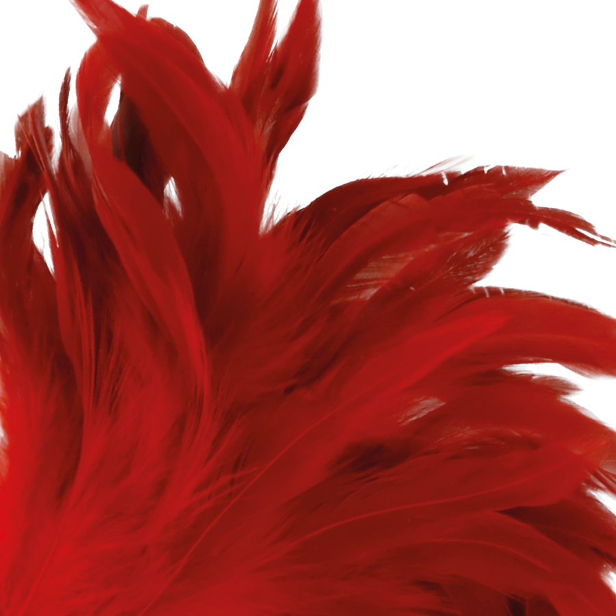 stylo à plume stimulant rouge 24 cm Darkness 2