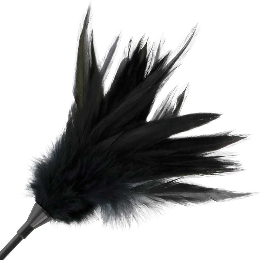 fouet à plumes noires Darkness 3