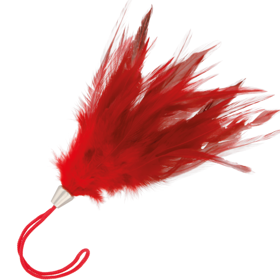 stylo à plume stimulant rouge 17 cm Darkness, photo principale