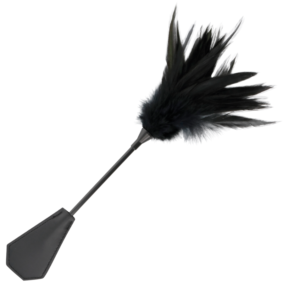 fouet à plumes noires Darkness, photo principale