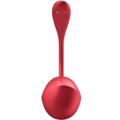 satisfyer-shiny-petal-stimulateur-point-g-rouge-avec-app (1)