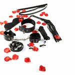 kit de démarrage BDSM Juste pour vous Toyjoy 2