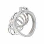 cage de chasteté en métal inoxydable réglable Hidden Desire 2