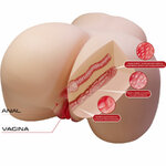 fesses masturbateur réalistes vagin et anal 11 kg Julia Crazy Bull 6