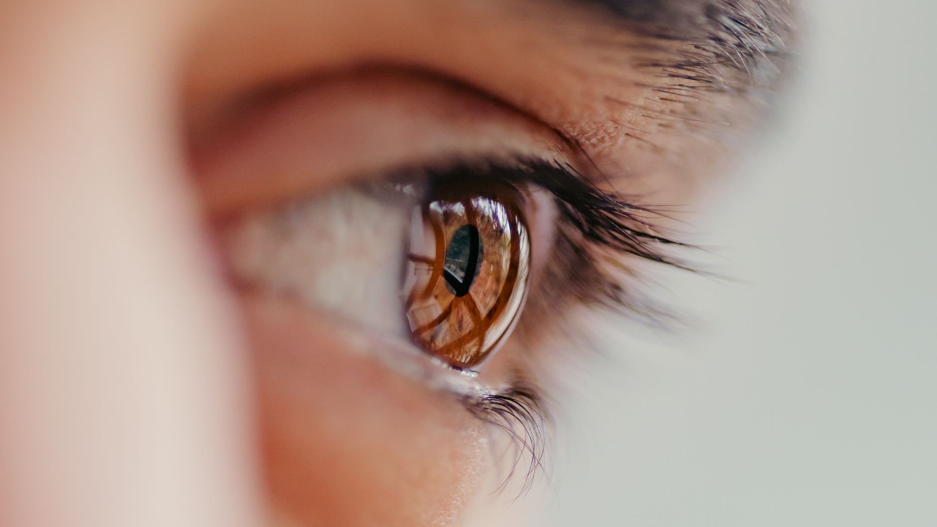 un gros plan detaille d un oeil brun montrant un reflet avec un accent sur les cils