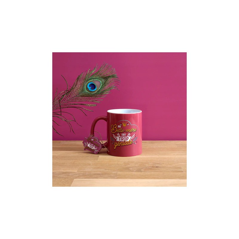 imageye___-_imgi_2_mug-belle-mere-geniale