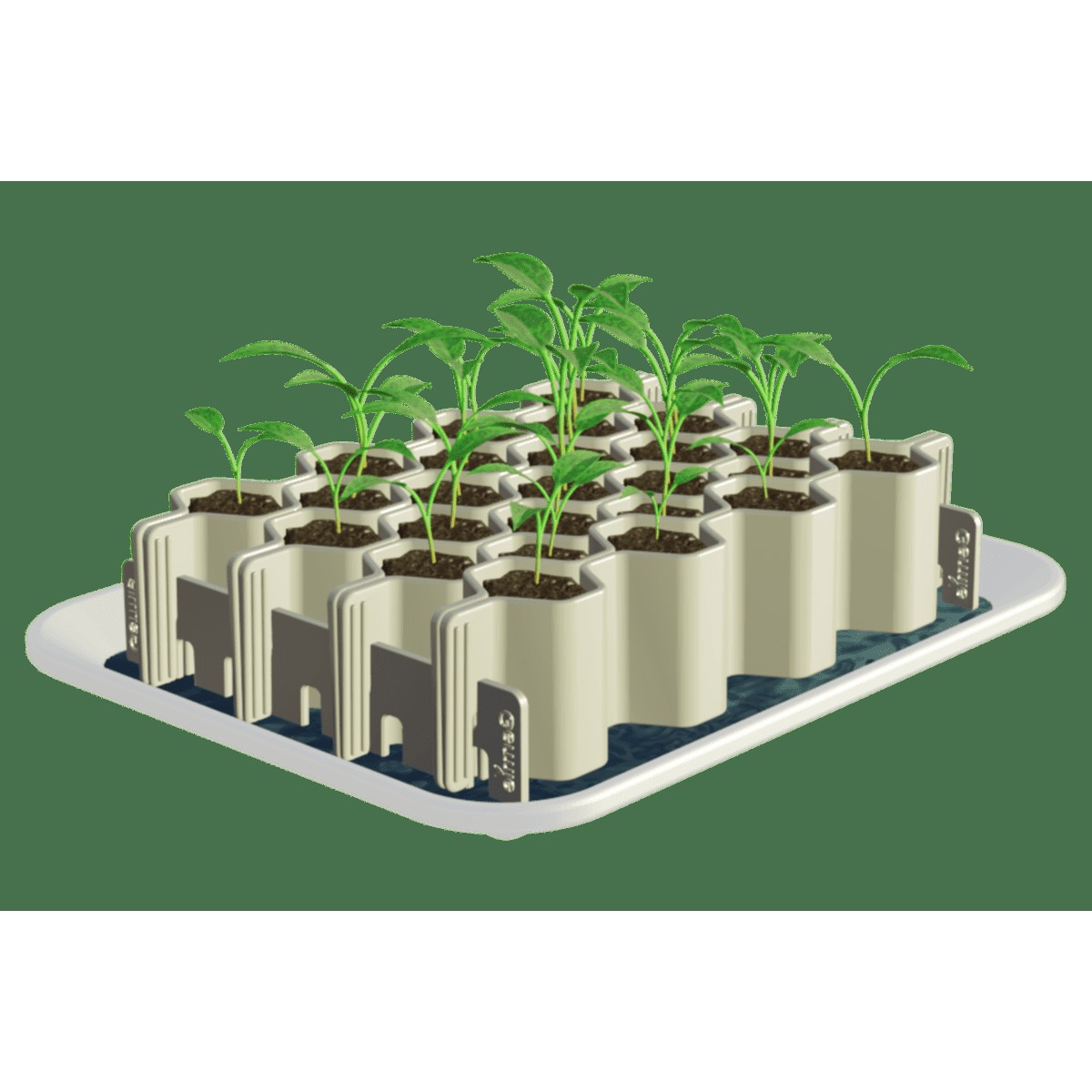 Seed Germination Kit — Medium Seeds, 25 Plants