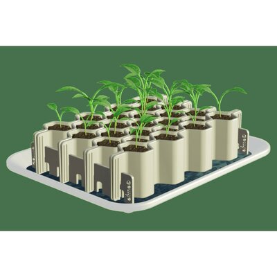Kit de germination Germie taille M 25 plants