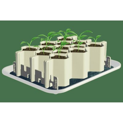 Kit de germination Germie taille L 13 mottes