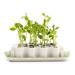 Kit de germination Germie taille M vu de face