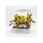 Lampe LED horticole Germie en fonctionnement