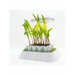 Lampe LED horticole pour semis Germie