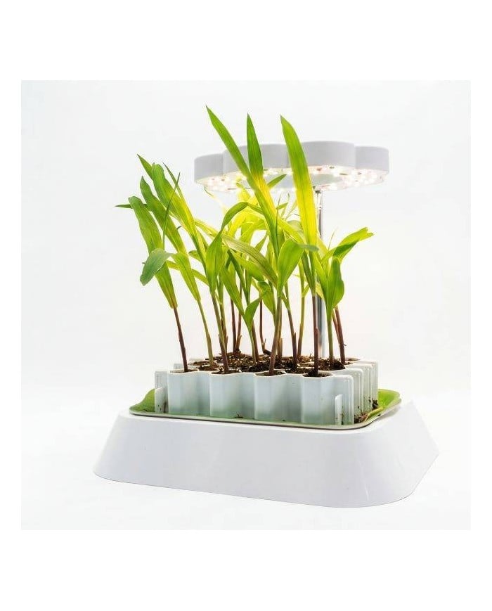 Lampe LED horticole pour semis Germie
