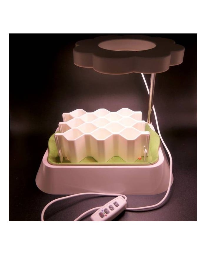 Lampe LED horticole Germie au-dessus d un kit