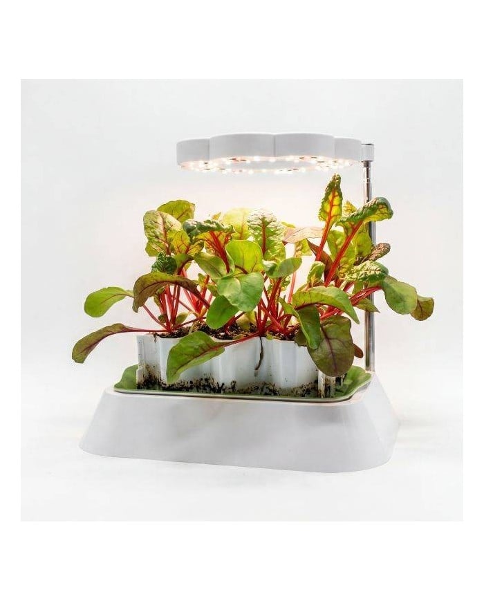 Lampe LED horticole Germie en fonctionnement