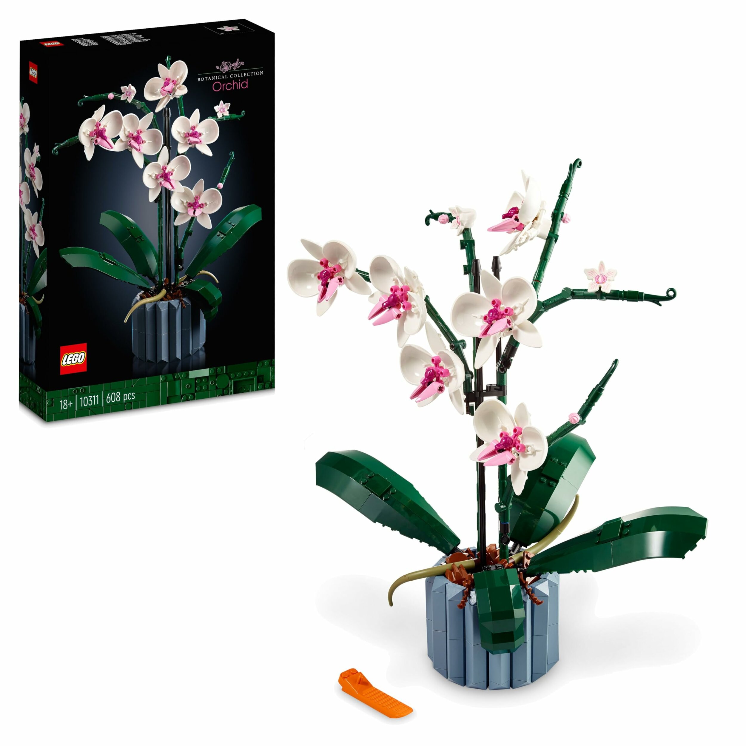Boîte du LEGO Botanicals 10311 LOrchidée et lorchidée montée dans son pot bleu