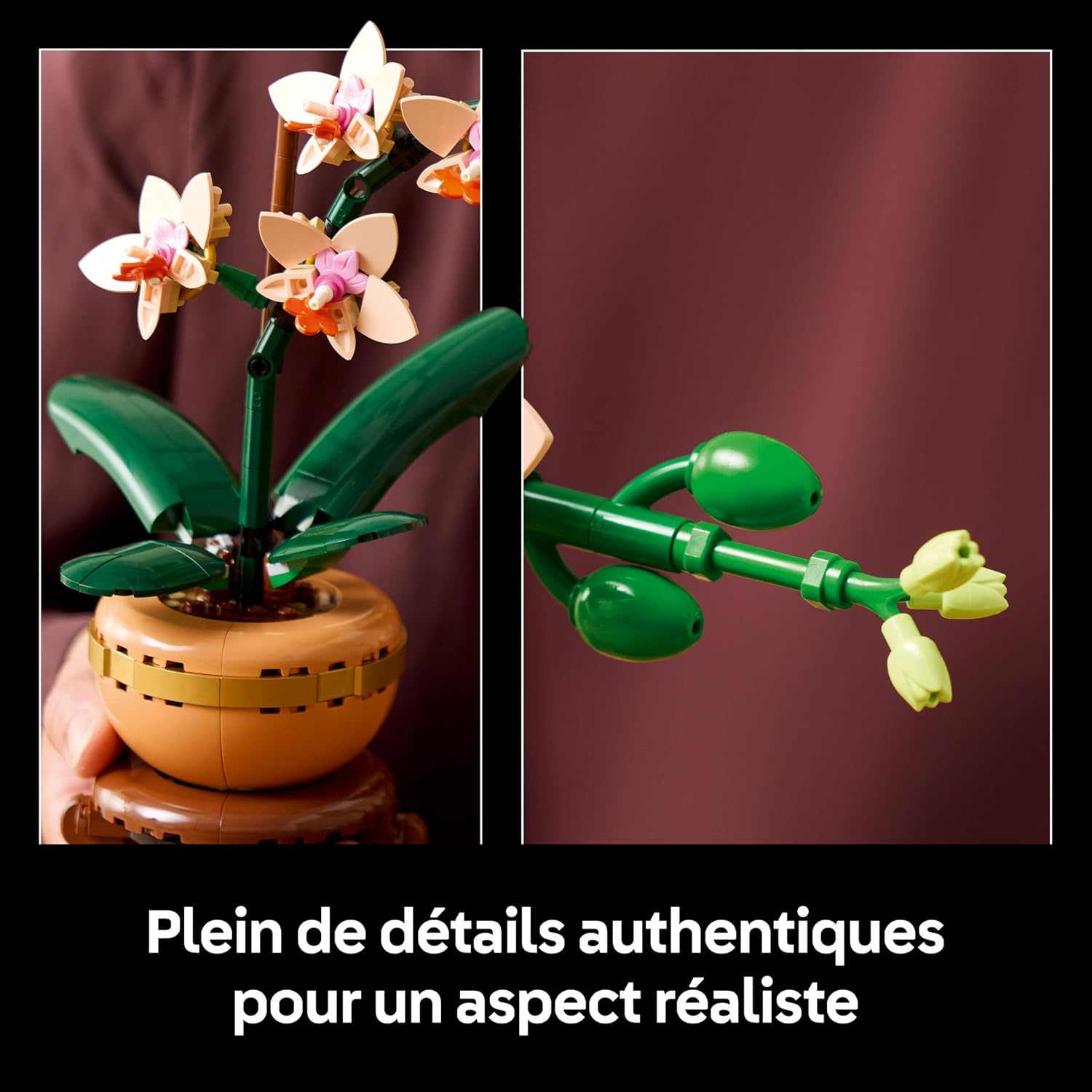 Détails de lorchidée miniature LEGO : fleurs couleur pêche et tige de boutons