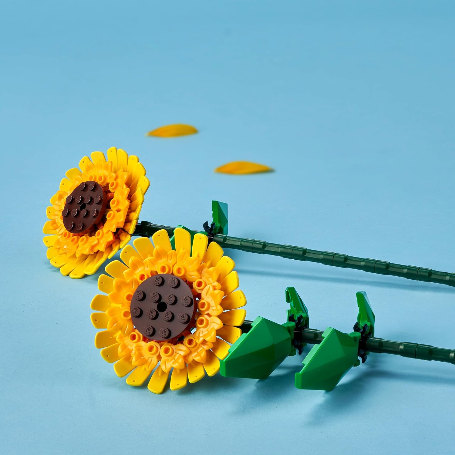 Tournesols LEGO couchés sur un fond bleu, avec des pétales détachés