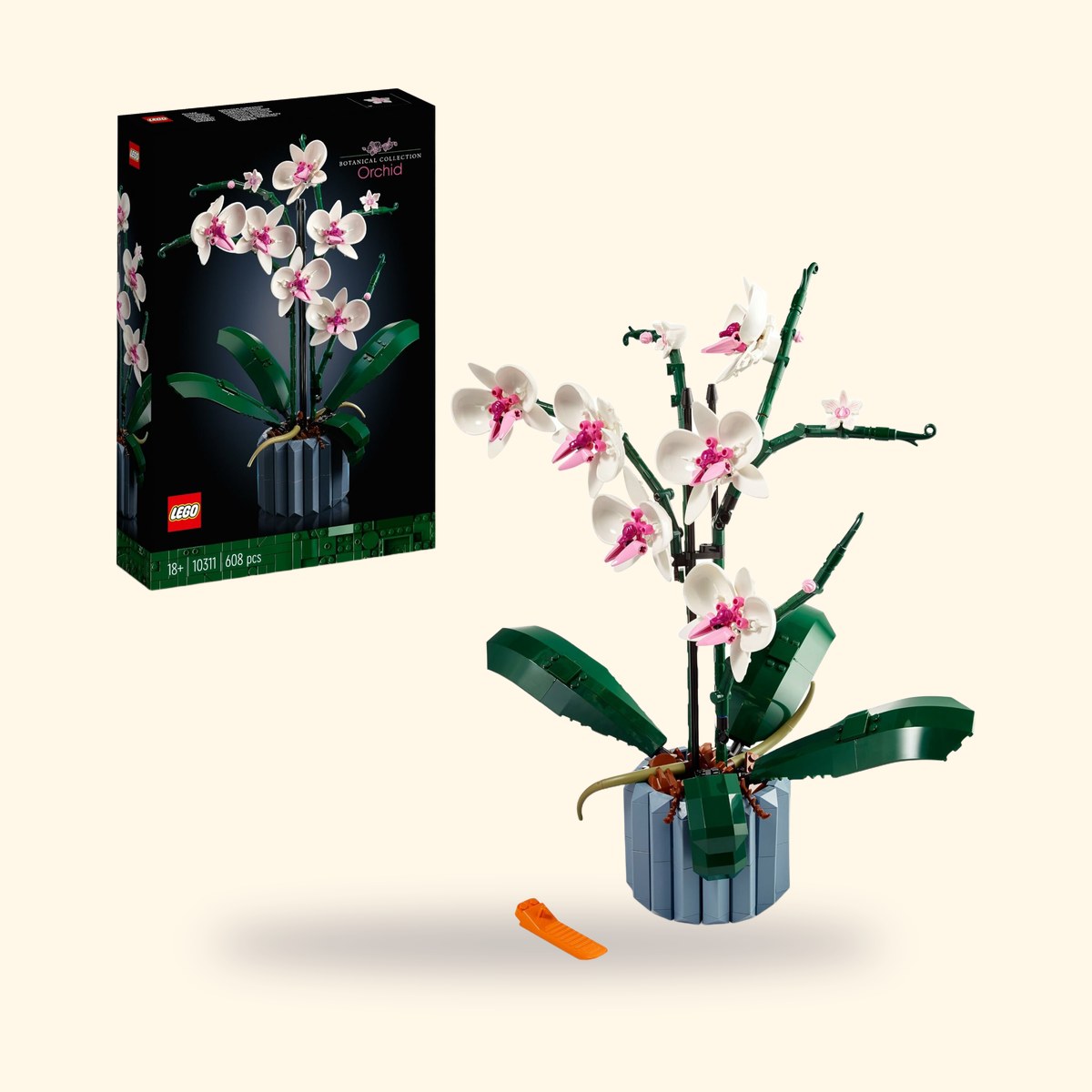 LEGO Botanicals 10311 LOrchidée, boîte et orchidée montée sur fond crème
