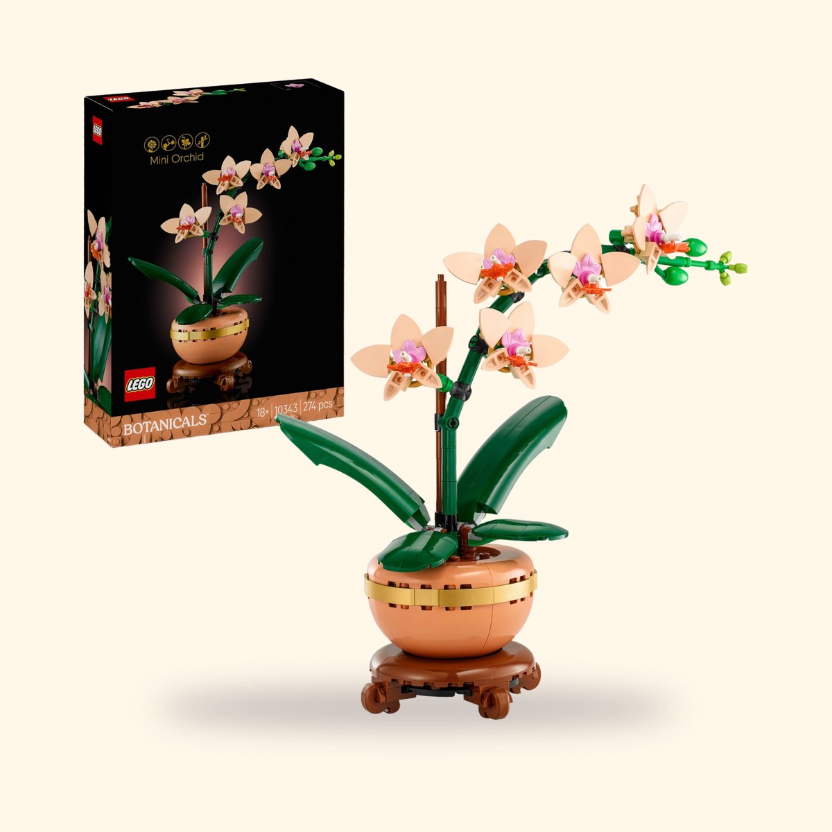 LEGO Botanicals 10343 L'Orchidée miniature, boîte et orchidée montée sur fond crème