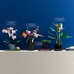 Lorchidée LEGO 10311 à côté des sets Botanicals 10280, 10281 et 10289