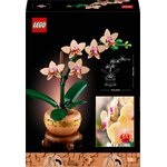 Dos de la boîte LEGO 10343 avec lorchidée montée et la photo dune vraie fleur