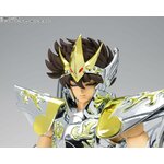 Visage de Seiya casqué, regard déterminé