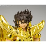 Gros plan du visage de Seiya sans casque, entre ses épaulières dorées