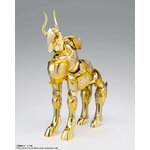Larmure du Capricorne en mode objet, vue de trois quarts
