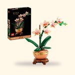 LEGO Botanicals 10343 L'Orchidée miniature, boîte et orchidée montée sur fond crème