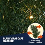 91oQL3yuYUL._AC_SL1500_